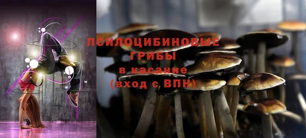 дживик Бронницы