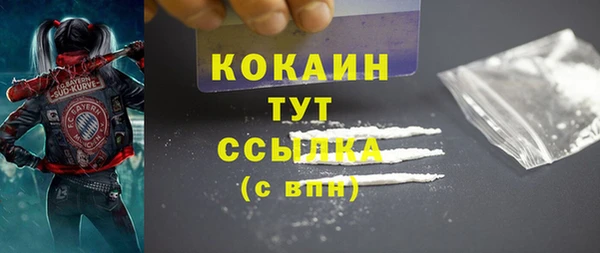 дживик Бронницы