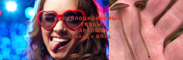 герыч Бородино