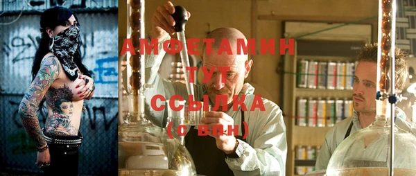 дживик Бронницы
