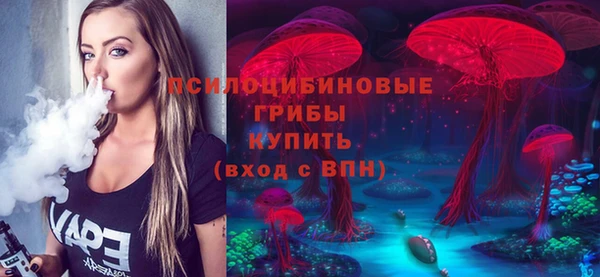дживик Бронницы