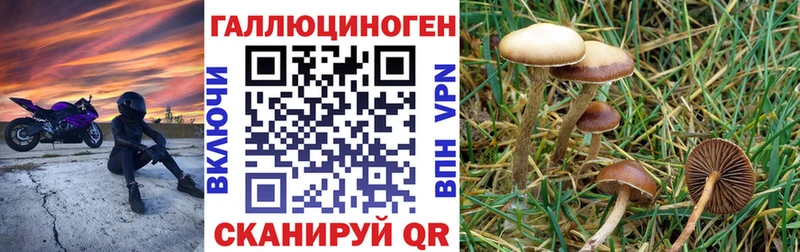 Псилоцибиновые грибы Magic Shrooms  Ялта 
